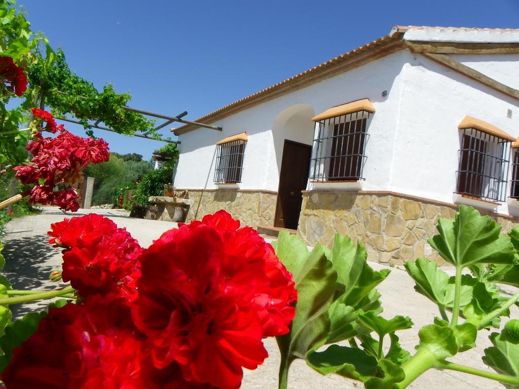 Casa Rural La Parada La Joya Buitenkant foto